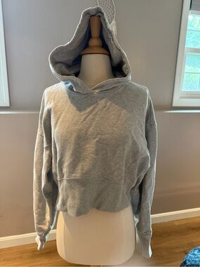 Offline Gray Cropped Hoodie Sweater - Women